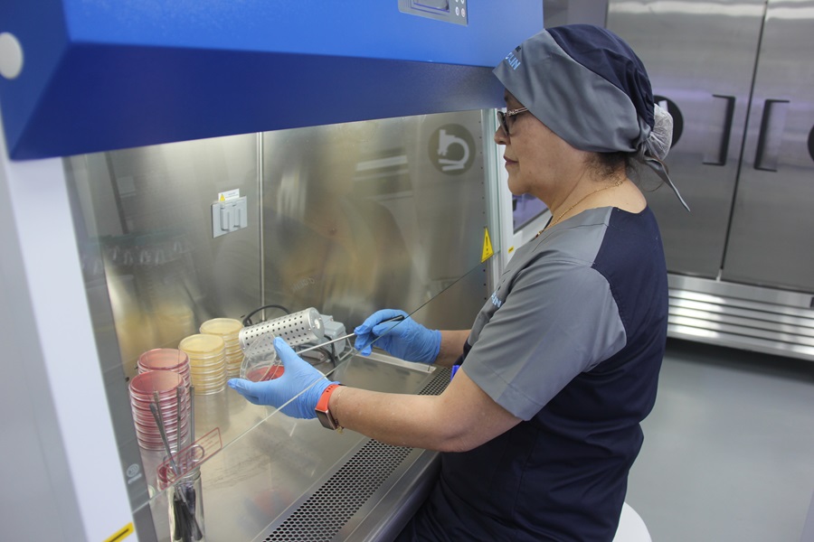 Imagen Microbiologia